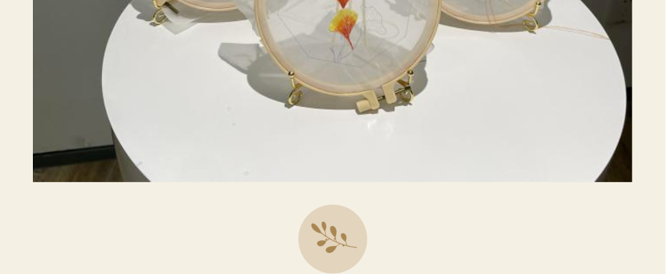 1701408019007.png